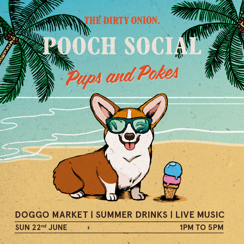 POOCH SOCIAL