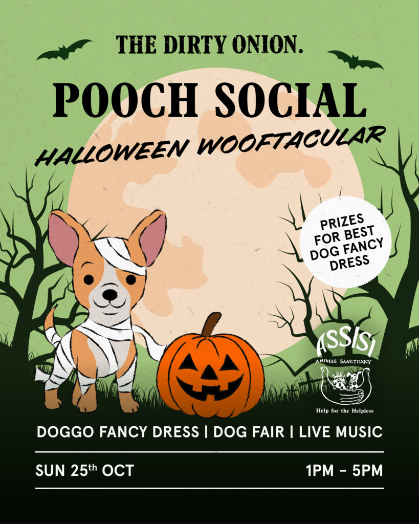 Halloween Wooftacular Pooch Social
